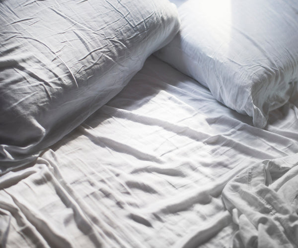 Hvor holder Dyne Expert til?